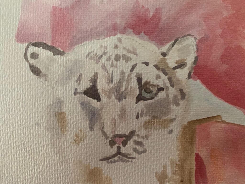 Snow Leopard (watercolor), 4.5x6 - NFS