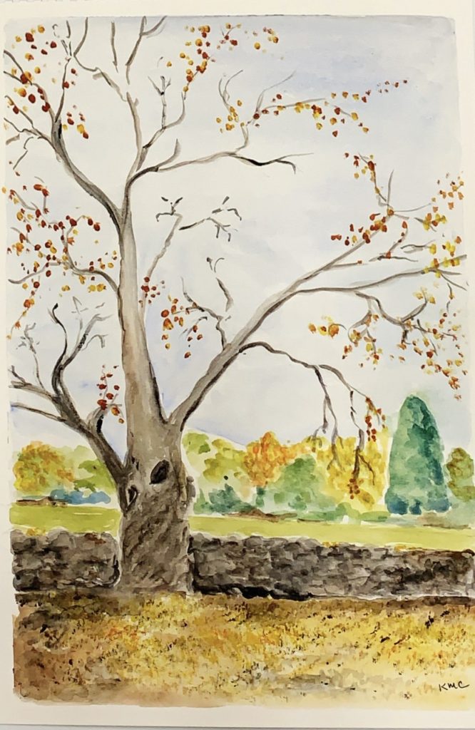 Autumn Scene (watercolor, 11x14) - NFS