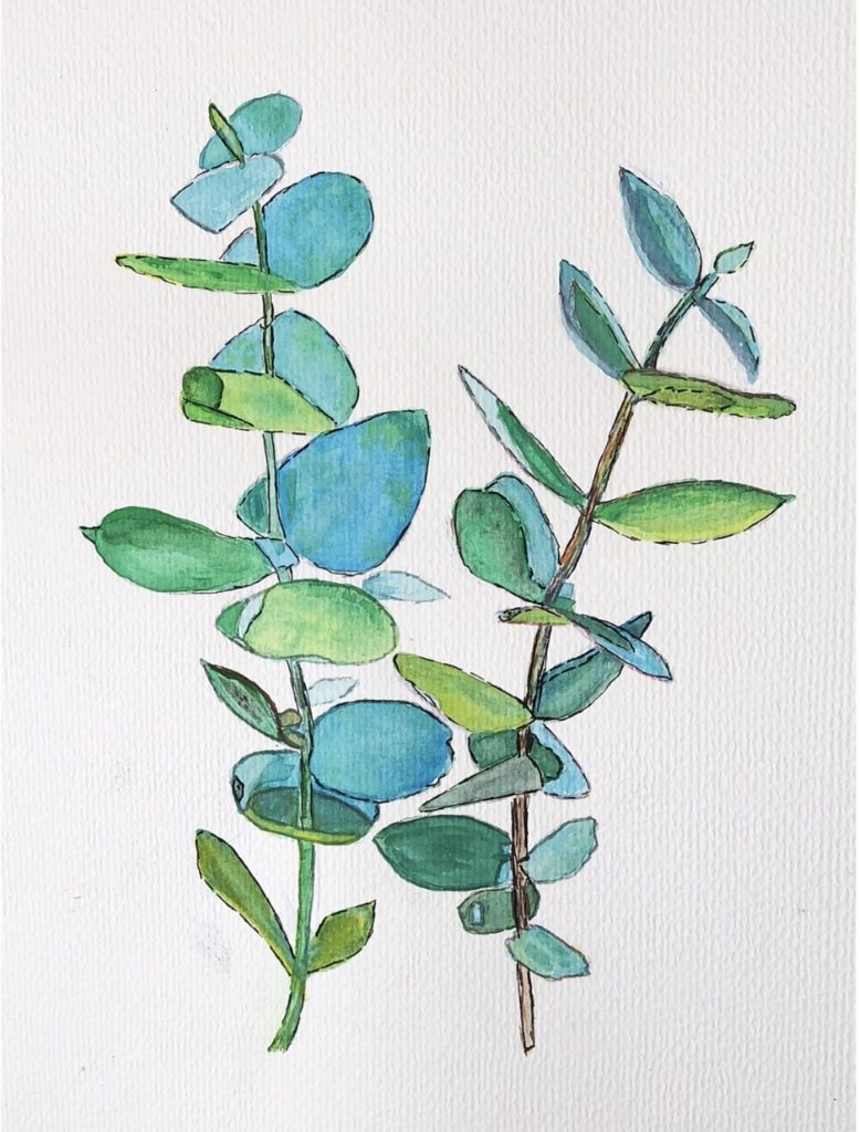 Eucalyptus (watercolor and pen on cold press paper, 8x10) - $5
