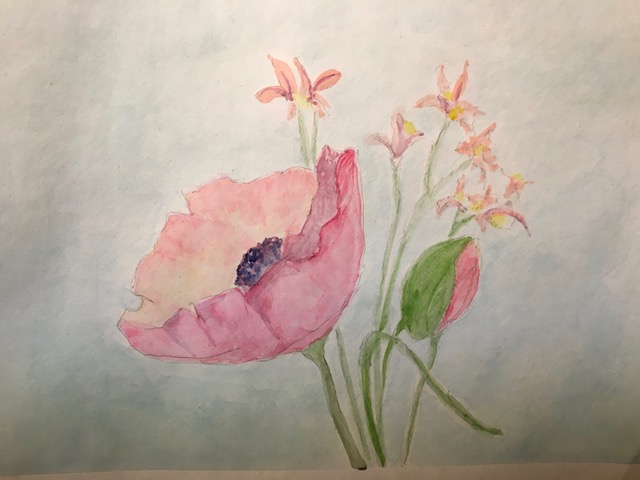 Pink Poppy (watercolor), Price negotiable