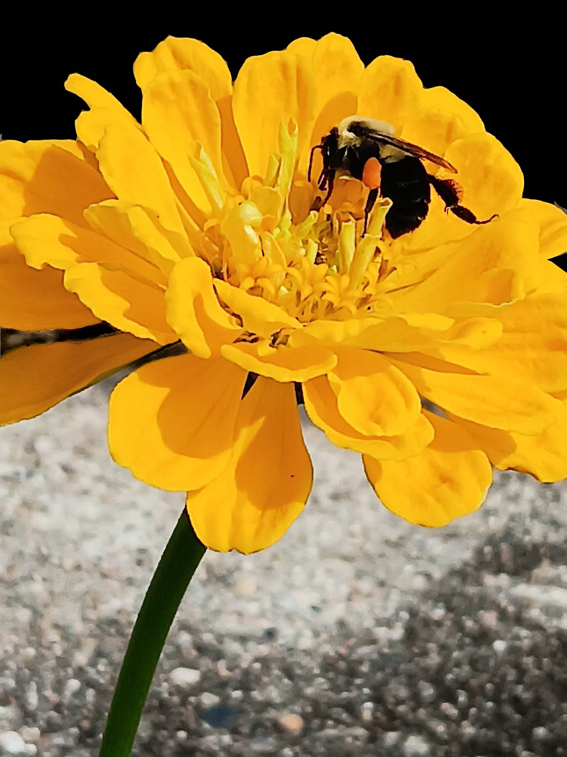 Hausrath Joan - Photo 1