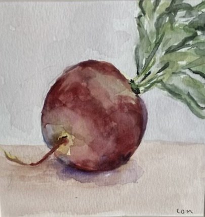 Radish (watercolor on paper), 8x8 framed - $50