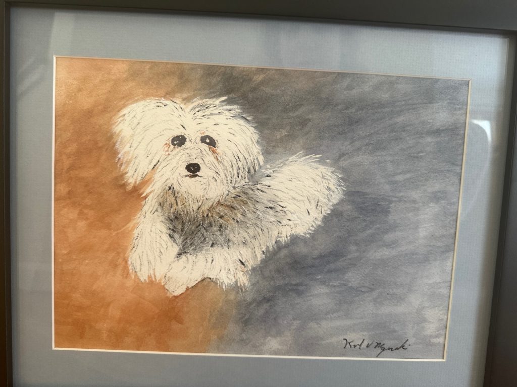Teddy, 13x15" Framed, Watercolor, NFS