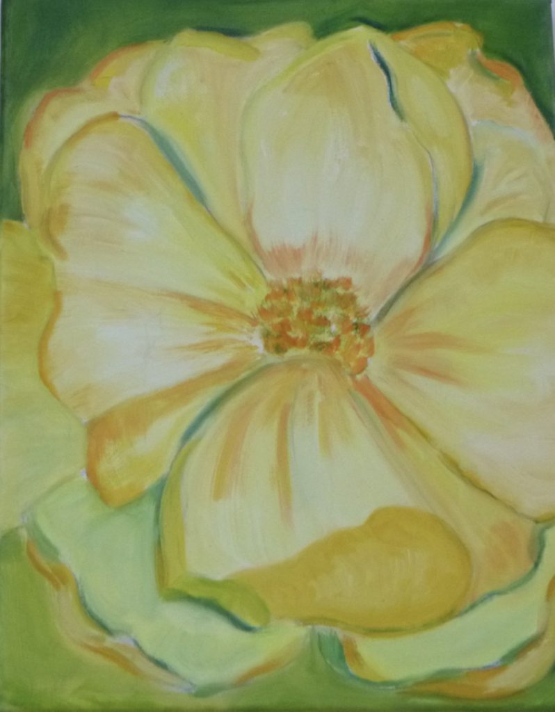 Summer Rose (oil on canvas, 11x14) - $250