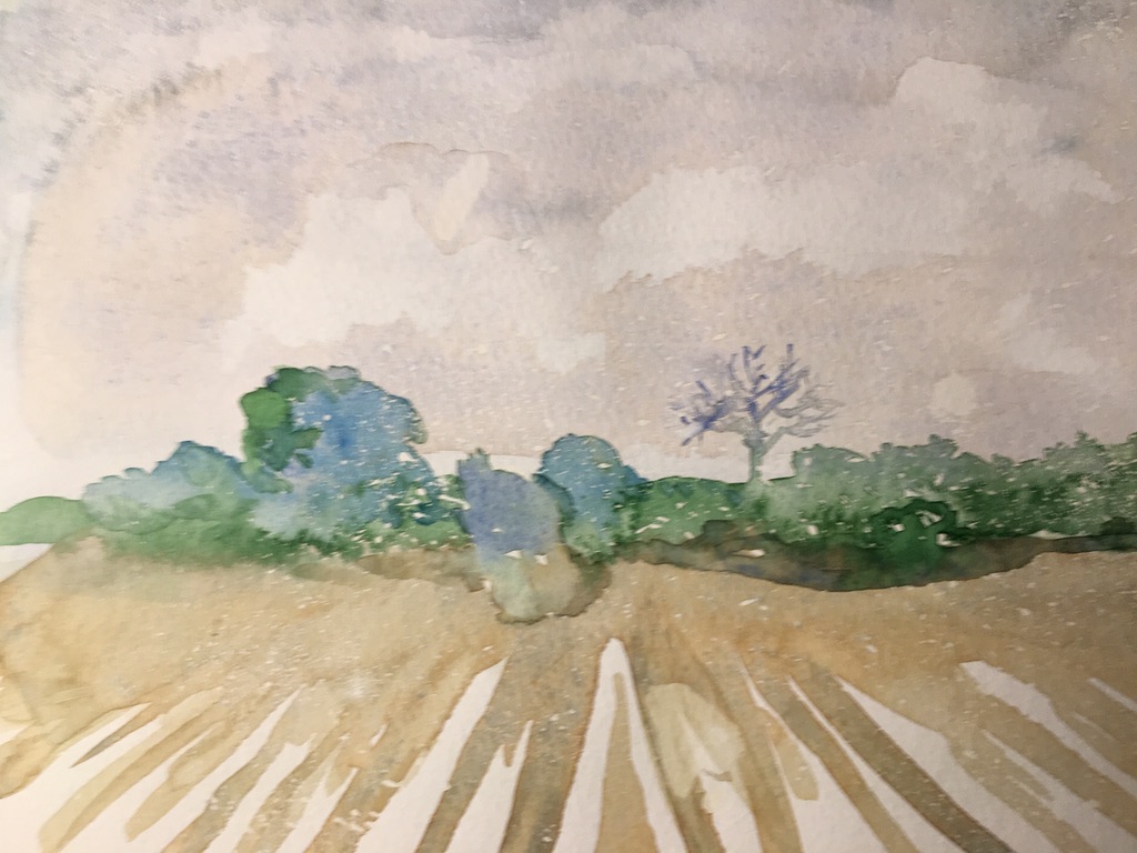 Winter Field (watercolor), Negotiable