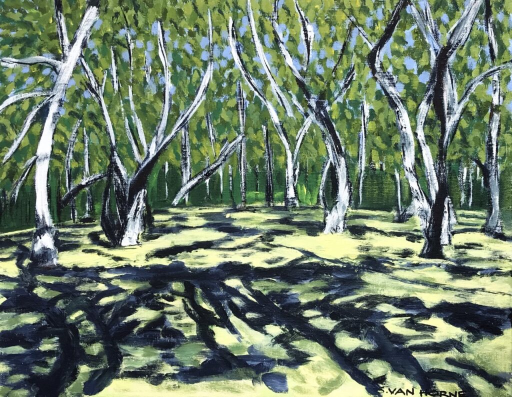 Colt State Park Tree Study #5 (acrylic on wrapped canvas), 11x14 - $125