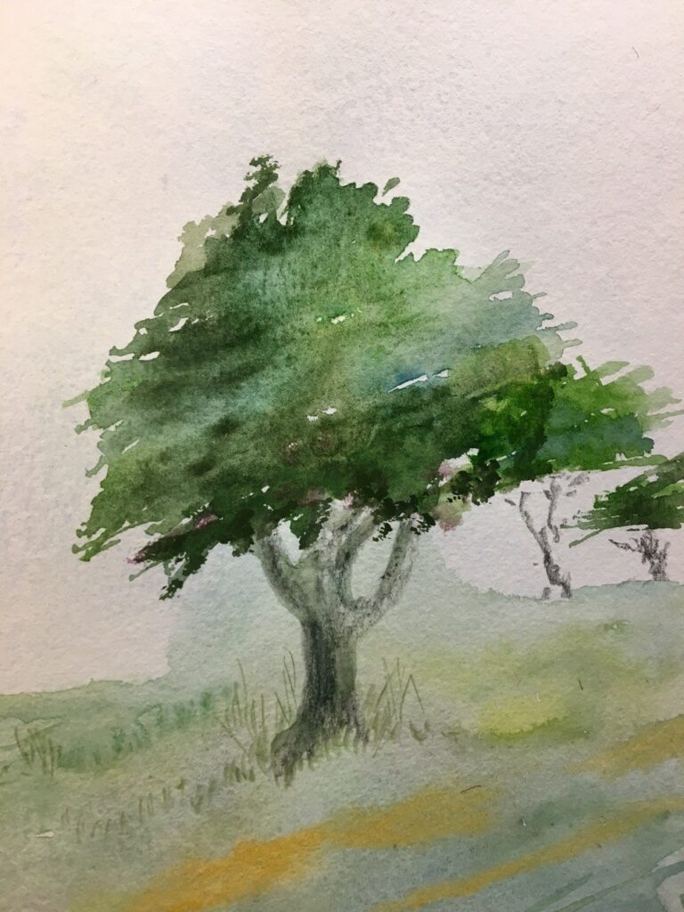 Tree study (watercolor), 8x10 - NFS