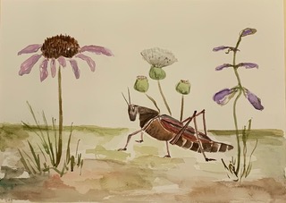 Arthropod (watercolor on paper), 11x15 - NFS