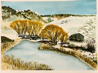 Cottonwoods in Winter (watercolor on paper), 11x14 - NFS