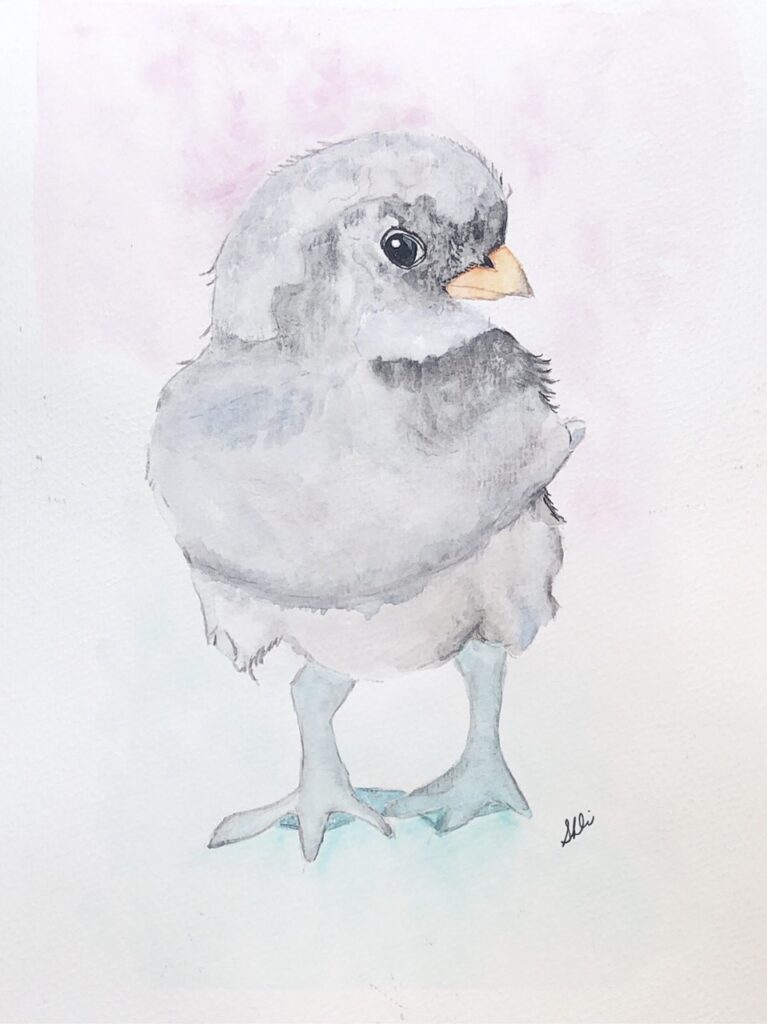 Baby Chicken (watercolor, 8x10) - NFS