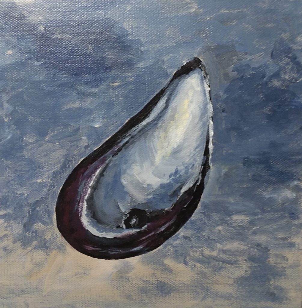 Mussel Shell (acrylic on canvas), 8x8 - NFS