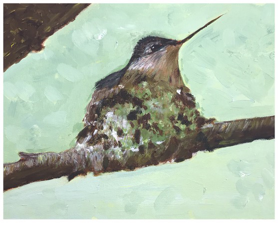 Nesting Hummingbird (acrylic), Price negotiable