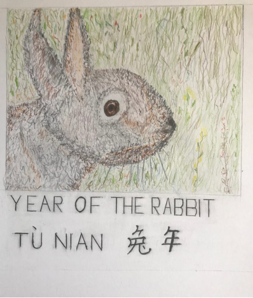 Year of the Rabbit (colored pencil on cardboard), 11”x 11” - NFS