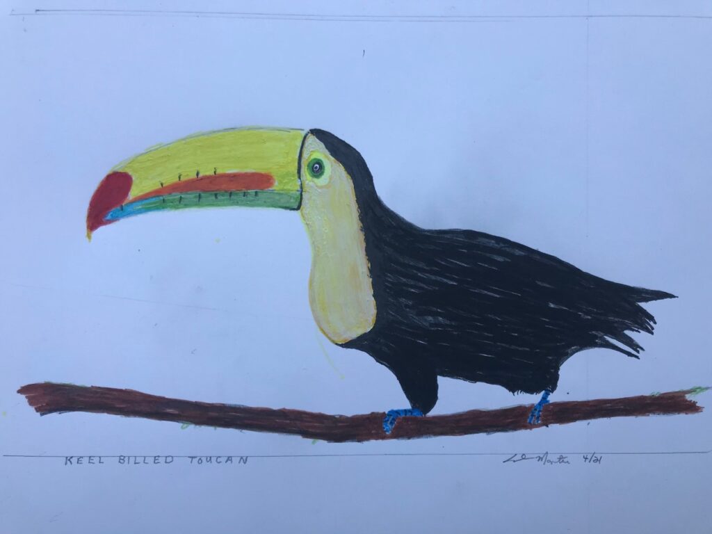 Keel Billed Toucan (acrylic, 8x12) - Price Negotiable