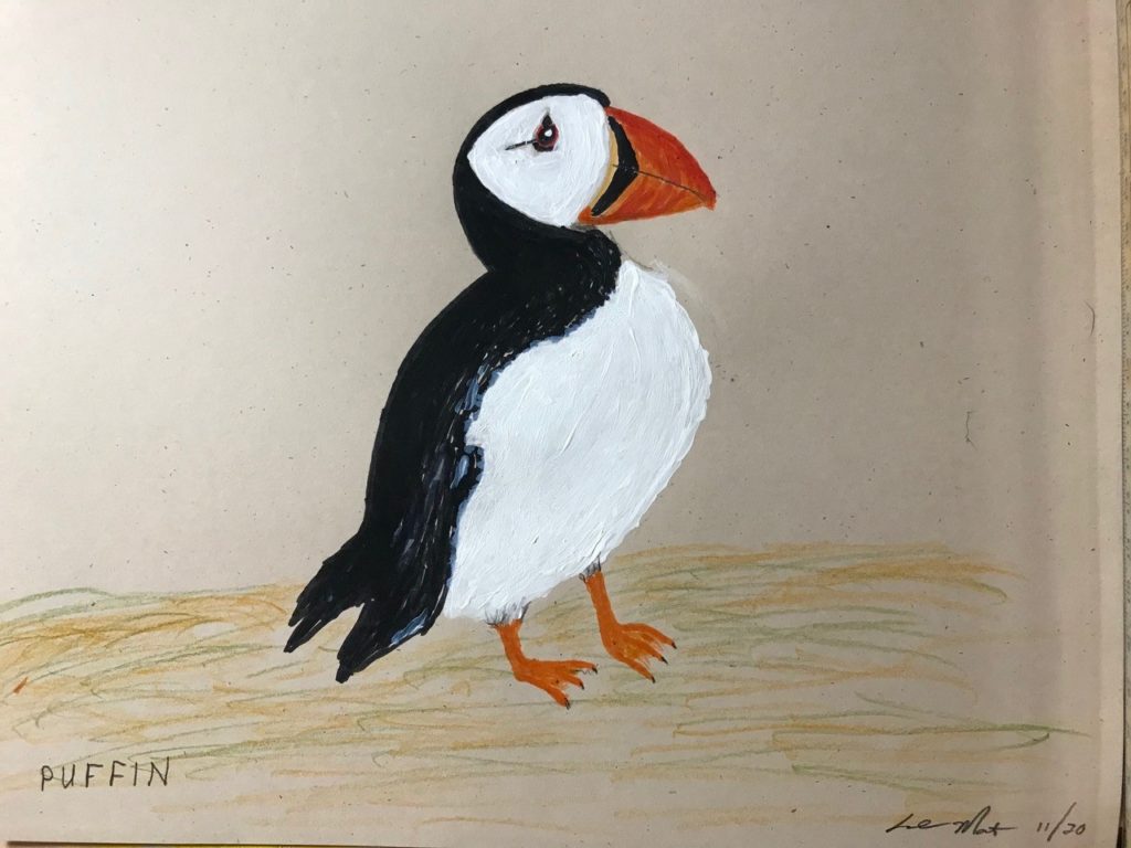 Puffin (acrylic, pen brush on paper), 9 x 11 - Price negotiable