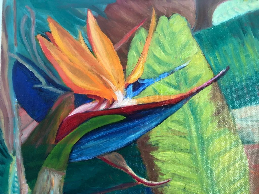 Bird of Paradise (oil on stretched canvas), 8x10 - NFS