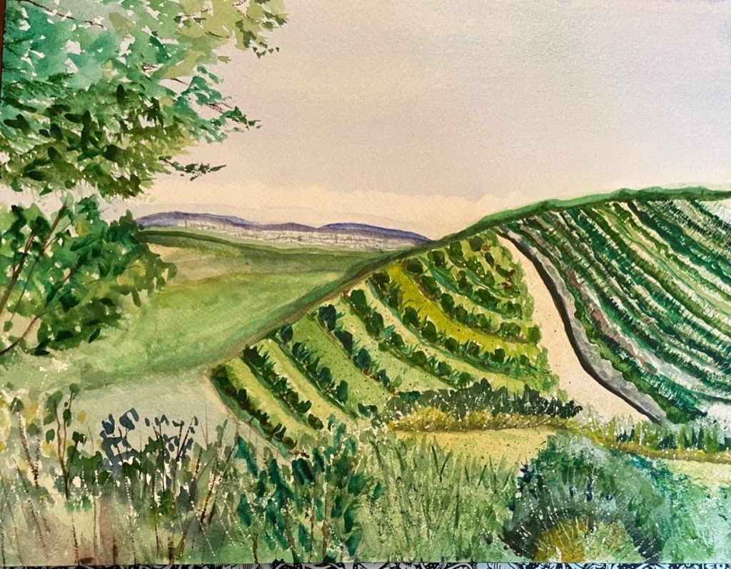 "Vineyard" (watercolor on Arches paper), 11x14" - NFS