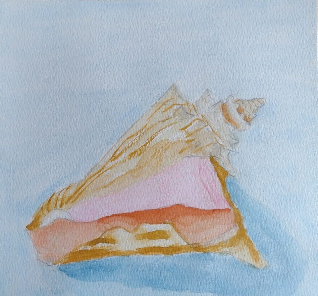 "Conch Shell" (gouache and watercolor on cold-press paper), 8x8 - NFS