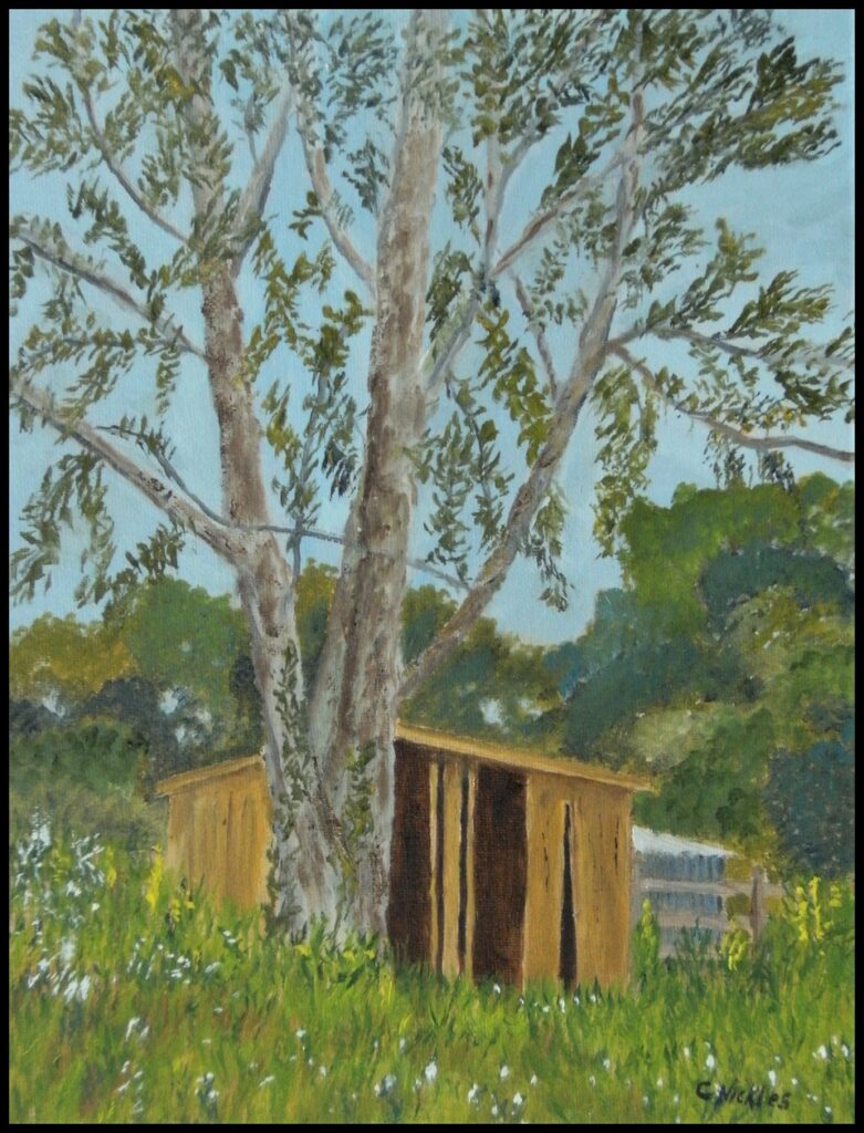 Flash's Shed (oil on canvas panel, 11x14) - $100