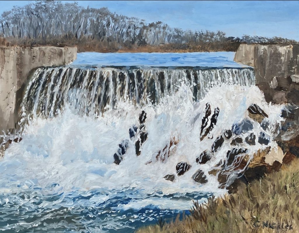 Belleville Falls (oil on canvas), 11x14” - NFS