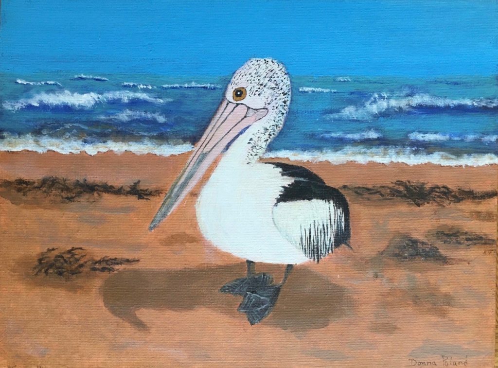 Australian Pelican (acrylic on canvas panel), 9 x 12 - Price negotiable