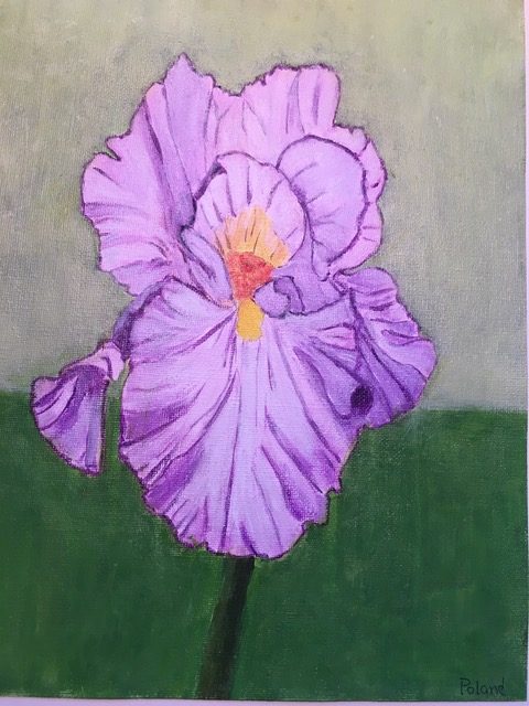 Donna Poland "Lavender Iris" (acrylic), Neg