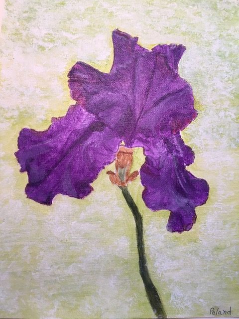 Donna Poland "Purple Iris" (acrylic), Neg
