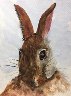 Rabbit (watercolor on paper), 5x7 - NFS