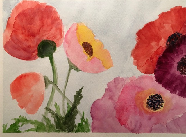 Patricia Bisshopp "Pink Poppies" (watercolor), Neg
