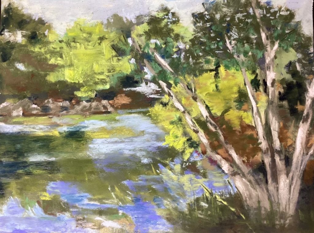 The Pond Swan Point (soft pastel on sanded paper), 9x12 - NFS