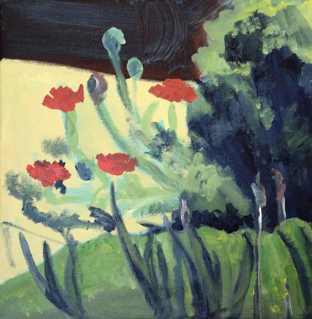 My May Garden: Poppies (acrylic, 12x12) - $25