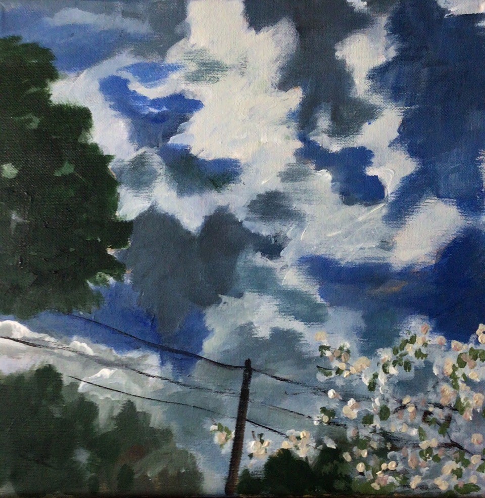 Dogwood against a changing sky (acrylic, 16x20) - NFS