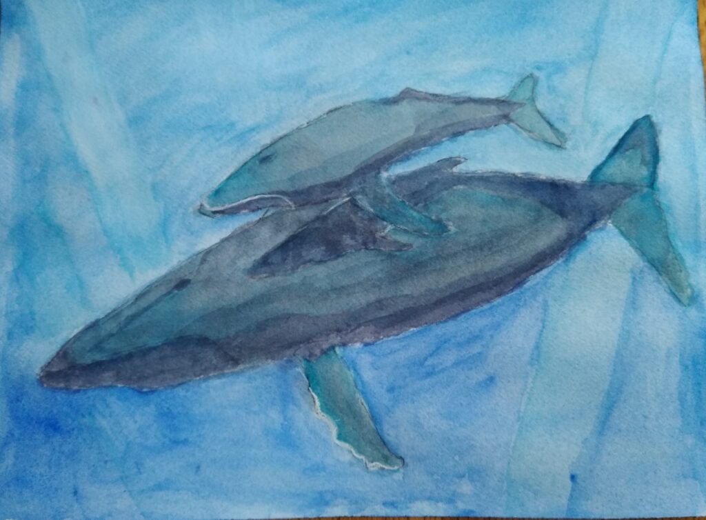 Mother Whale and Calf (watercolor and gouache, 9x12) - NFS