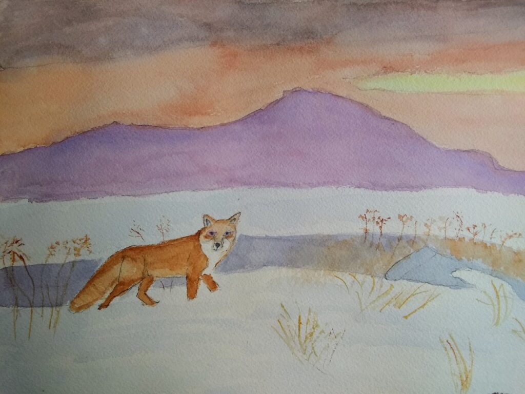 Red Fox in Quebec (watercolor and gouache, 9x12) - NFS