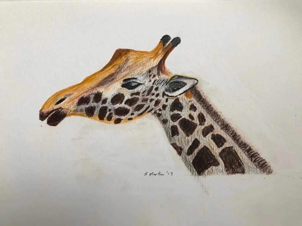 "Giraffe" (acrylic, colored pencil), NFS
