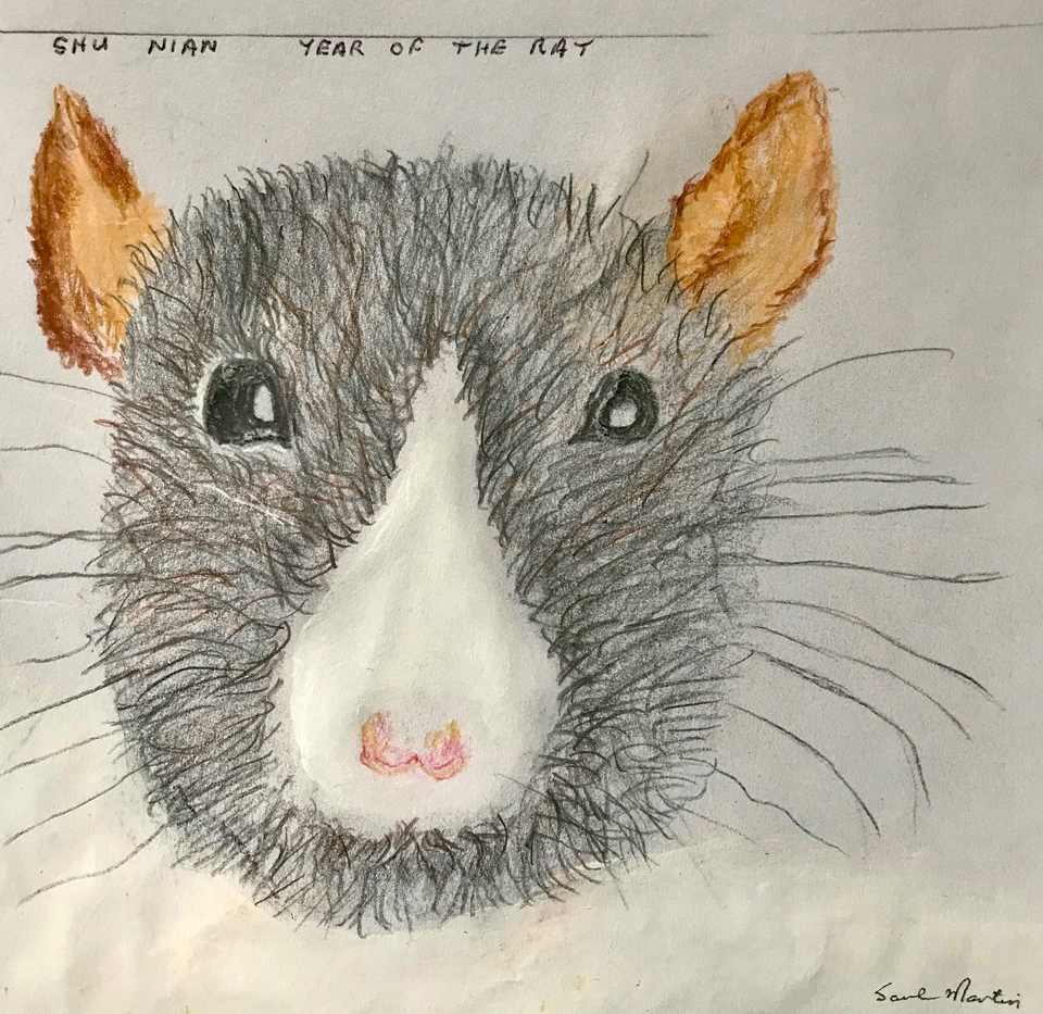 "Chinese Year of the Rat" (acrylic, colored pencil), NFS 