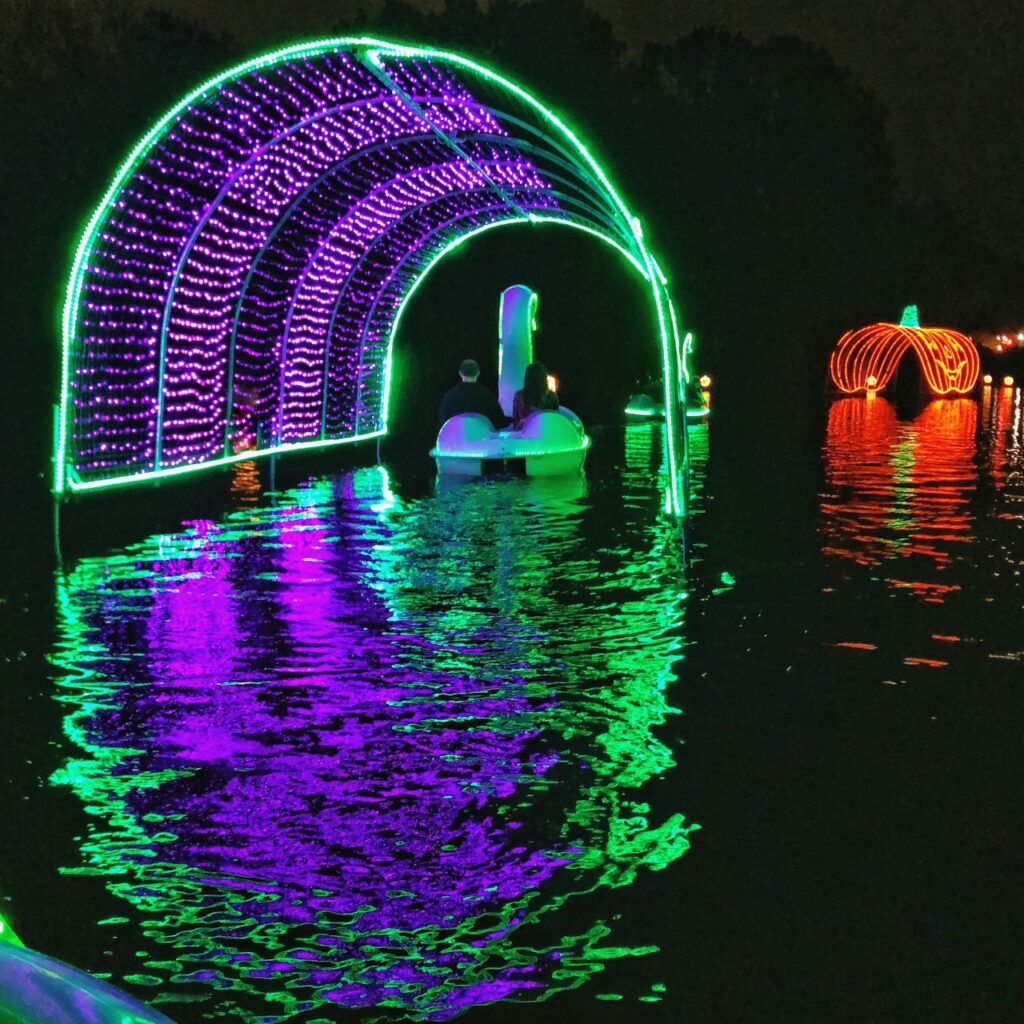 Illuminated Swan Boats, Roger Williams Park