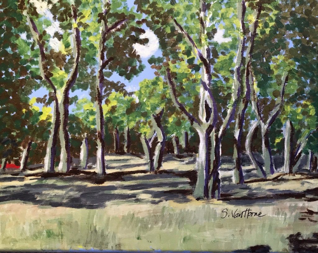 Colt State Park (acrylic on canvas), 11 x 14 - Price upon request