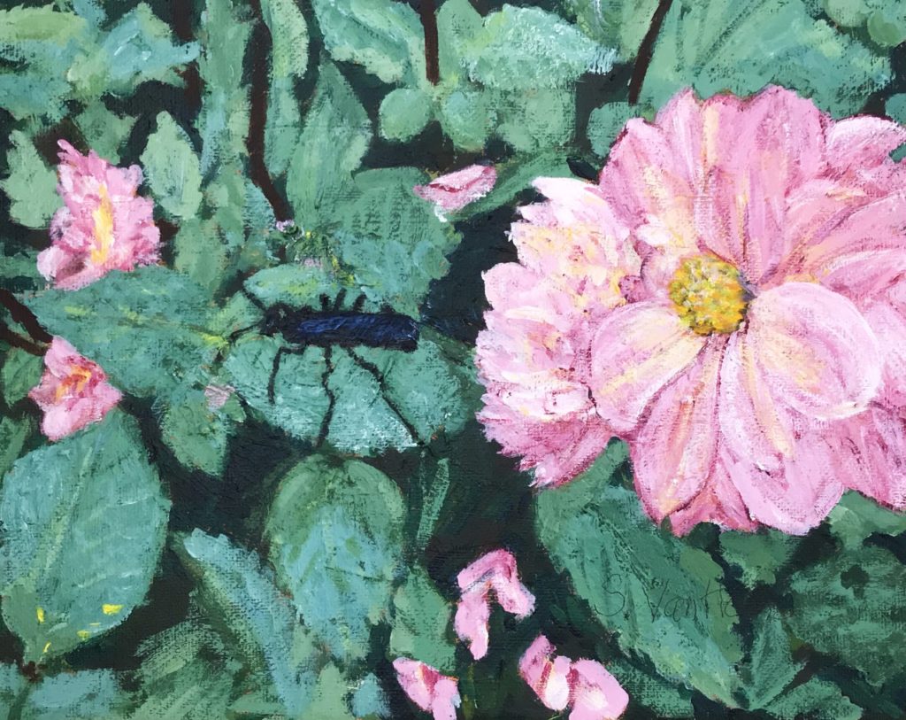 Dahlias in the House! (acrylic on canvas, 8x10) - Price on request
