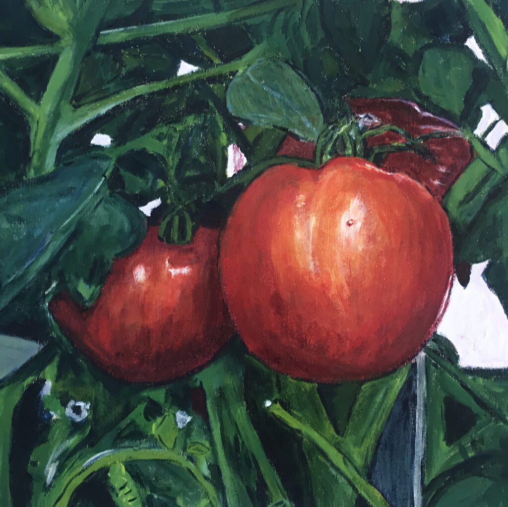 Heidi’s Tomatoes #2 (acrylic on canvas), 12x12 - NFS
