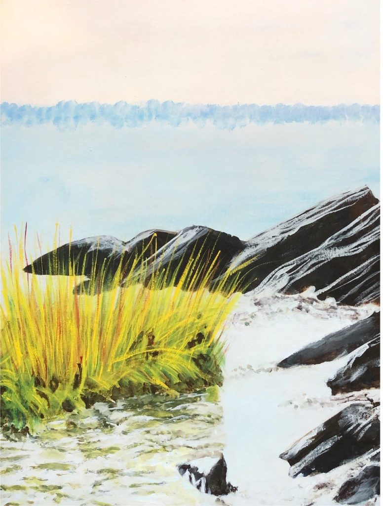 Rocky Coast (acrylic on canvas), 16 x 20 - Price negotiable