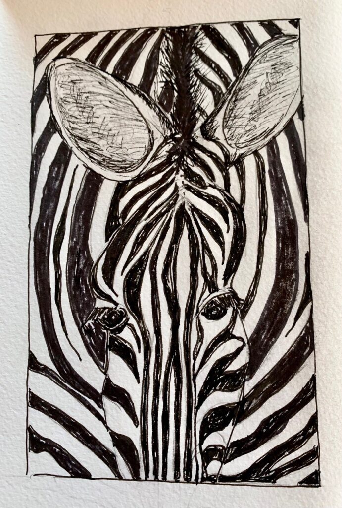 Zebra Close Up (pen & ink on paper), 4x6 - $50