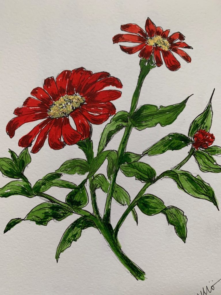 Zinnia (watercolor on paper), 5x8 - $100